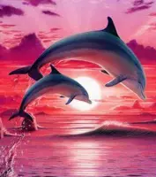 Diamond Painting Dolfijnen aan de Zonsondergang - 20x15cm - Complete Set - Vierkante Diamantjes - Inclusief Tools - Stipco