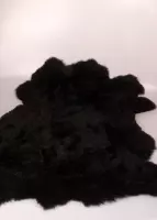 Grote dikke vacht van zwart lammy