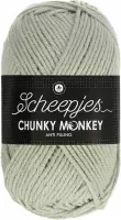 Scheepjes Chunky Monkey 100g - 2019 Smoke - Beige