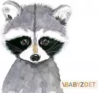 Schilderenopnummers.com® - Schilderen op nummer volwassenen - Serie: BabyZoet - Wasbeer - 50x40 cm - Paint by numbers