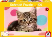 Schmidt Cute Kitten, 100 stukjes - Puzzel - 6+