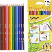 BIC - Kleurpotloden - 12 kleuren