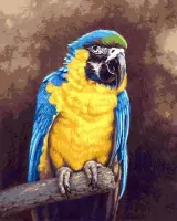 schilderen op nummer papegaai