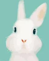 Paint by number voor volwassenen – schilderen op nummer – Schattig konijn – dieren – diy – zonder frame - 40x50cm