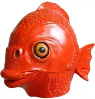 Vis masker (goudvis)