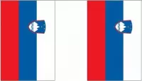 Luxe Slovenie vlaggenlijn 9 m