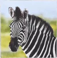 servetten Zebra 33 x 33 cm papier zwart/wit