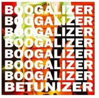 Boogalizer