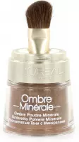 L'Oréal Color Minerals Oogschaduw - 13 Bronze Gold