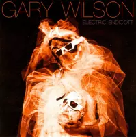 Gary Wilson - Electric Endicott (CD)