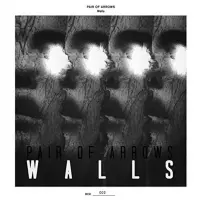 Pair Of Arrows - Walls (Flexi) (7" Vinyl Single)