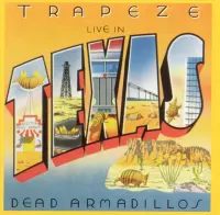 Live In Texas: Dead Armadillos