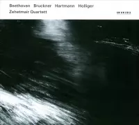 Zehetmair Quartett - Beethoven / Bruckner / Hartmann / H (2 CD)