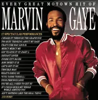 Marvin Gaye - Every Great Motown Hit Of Marvin Gaye: 15 Spectacu (LP)