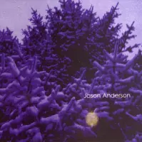 Jason Anderson - The Wreath (CD)