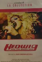 Hedwig And The A