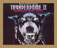 Thunderdome 2001 grijs