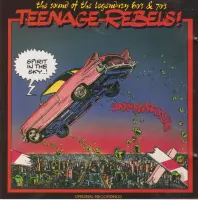 Various ‎– Spirit In The Sky - Teenage Rebels!