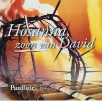 Hosanna zoon van David