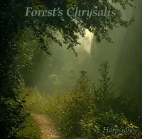 Forest's Chrysalis
