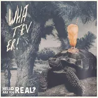 Whatever - Hello Are You Real / Aron Dalesio (2 LP)