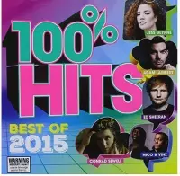 100% Hits Best Of 2015 - V/A