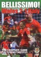 Bellissimo! Wales 2 Italy 1 (English Version)