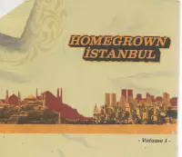 HOMEGROWN ISTANBUL  vol. 1