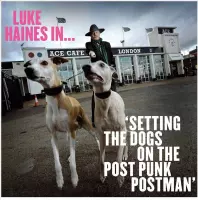 Luke Haines In...setting The Dogs On The Post Punk