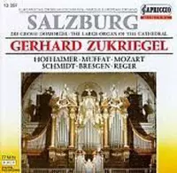 Salzburg-Large Organ Of T