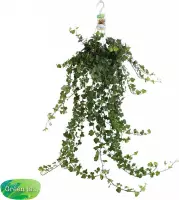 Hangplant - Super mooie hangplant voor binnen - Klimop met luchtzuiverende werking - Hangplantje Hedera Ø 17 cm - Hoogte 50 cm (waarvan 35 cm plant en 15 cm pot) - Kamerplant