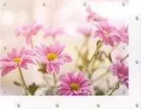 Tuinposter - Roze bloemen - 100 x 70 cm | PosterGuru