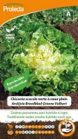 Protecta Groente zaden: Andijvie Breedblad Groene Volhart