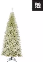 Black Box Trees - Colchester kerstboom platinum TIPS 945 - h215xd94cm- Kerstbomen