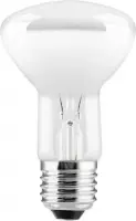 FBline Reflectorlamp 60W E27 R63 (5 stuks)