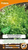 Protecta Groente zaden: Krulandijvie Wallonne