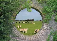 Tuinposter stenen doorkijk - 130x95 cm - koeien en schapen geheime tuin hollands landschap  - tuin decoratie - tuinposters buiten - tuinschilderij