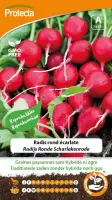 Protecta Groente zaden: Radijs Ronde Scharlakenrode