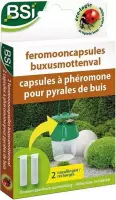 BSI Feromooncapsules Buxusmottenval, 2 stuks