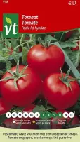 Tomaat Paola F1 Hybride - Vaste tomaat met een uitstekende smaak