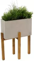 Enjoyplanter plantenbak LIV 40x16x25 cm