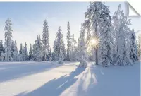 Kerstdorp achtergrond - 70x105 cm - papier - winters bos - kerst poster - kerst decoratie - kerstversiering - winterlandschap - kerstinterieur - modeltreinen