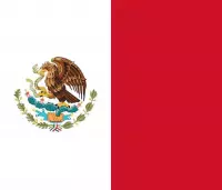Vlag Mexico 30x45cm
