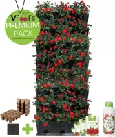 Minigarden® Vertical Kitchen Garden - verticale tuin - verticaal tuinieren - PREMIUM PACK met verankeringclips, irrigatie microdripbuizen, vloeibare voedingsstof, inclusief 4 vruch