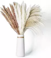 Pampas Pluimen | Droogbloemen | Decoratie voor Binnen | Bruin & Wit | 60 Stuks | 50 cm