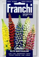 Franchi - Lupino Alto Multicolor - Lupine 335/1