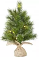 Black Box Trees - Glendon kerstboom w burlap werkt op batterijen groen 20L TIPS 45 - h60xd23cm - Kerstbomen