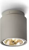WhyLed Plafondlamp led | Cilinder | Zilvergrijs | 230V/12V | G53 fitting | 50W | IP20