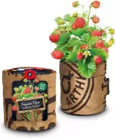 Compleet Keukentuintje aardbeien kweekset inclusief biologische potgrond en een zakje aardbeizaden