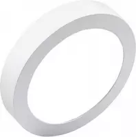 LED Downlight Pro - Igory - Opbouw Rond 20W - Helder/Koud Wit 6000K - Mat Wit - Ø247mm